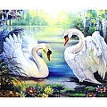 Алмазная живопись  30*40см  Два белых лебедя