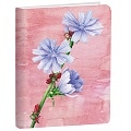 Книга для записей А6+ 80л Aquarelle.Полевые цветы