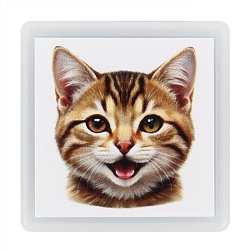 штампик мордочка котика