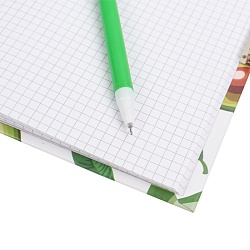 Блокнот 13*18см  подарочный с замочком "AVOCADO" +  ручка гелевая