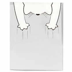 набор обложек для тетрадей 100мкм кот-2  (10шт/уп) полипропилен