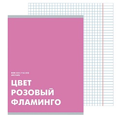 тетрадь  48л кл. "редкие цвета" обложка выбор. лак