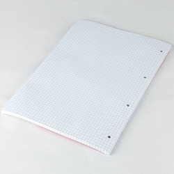 сменный блок для тетрадей на кольцах  а4 80л.  hatber