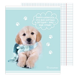 тетрадь  60л кл. "rachael hale" обложка уф-лак