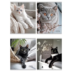 тетрадь  96л кл. "разные домашние коты" обложка цветная мелованная