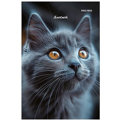Блокнот А6  24л "Портретные фото котов - 3" ассорти,  на скрепке