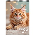 Блокнот А6  40л "Милые котики-12" ассорти,  на гребне