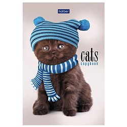 Блокнот А6  40л. "Кототерапия" на склейке