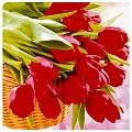 Алмазная  живопись "Darvish" 30*30см  Красные тюльпаны
