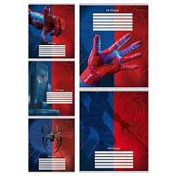 тетрадь  12л клетка цв. обл "спайдер" синий