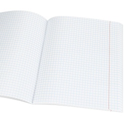 тетрадь предметная  48л кл информатика "bad cat" 