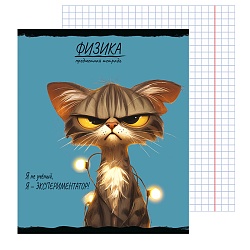 тетрадь предметная  48л кл физика "про хвост" 
