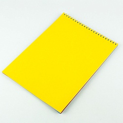 цветной и белый картон  а4  10л. 9 цв + 2 трафарета "ракета" на гребне