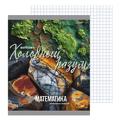 тетрадь предметная  36л кл математика "мир вокруг" 