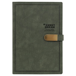 ежедневник а5 недатиров. 100л обложка кож.зам. на магнитной застёжке