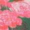 алмазная живопись 50*65см - розовый букет