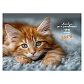 Альбом для рисования 24л. склейка "Котик-4"