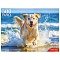 пазлы  500 элементов щенок на море