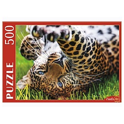 пазлы  500 элементов леопард на траве