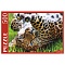пазлы  500 элементов леопард на траве