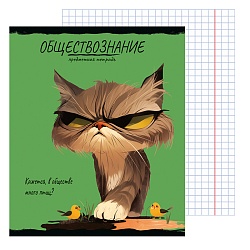 тетрадь предметная  48л кл обществознание "про хвост" 