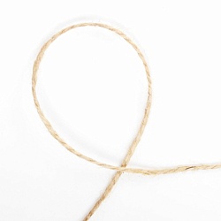 шпагат джутовый полированный 100м, 2-х ниточный