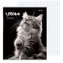 тетрадь  48л кл. "чёрно-белые котики" обложка цветная мелованная