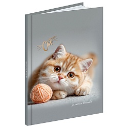 книжка записная  а6  64л "котёнок с клубком" 7бц, глянц.лам.