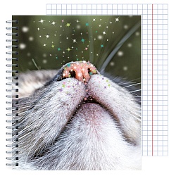 тетрадь  48л кл. на гребне "блестящие и милые" обл. мелов. кар. выбор. лак , блёстки