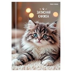 книжка записная  а7  64л "милые котята-6" 7бц, глянц.лам.