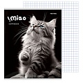 Тетрадь  48л кл. "Чёрно-белые котики" обложка цветная мелованная