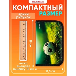 пенал 1отдел. 190*115мм мячик на газоне