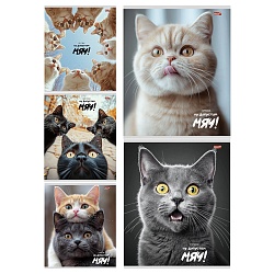 тетрадь  48л кл. "забавные коты-4" обложка цветная мелованная