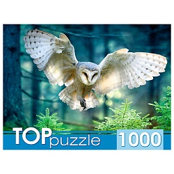 пазлы 1000 элементов полёт совы
