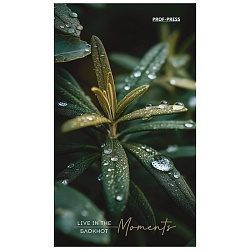 Блокнот А6  24л "Растительная тема-1" ассорти,  на скрепке