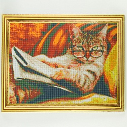 алмазная живопись 40*50см  учёный кот