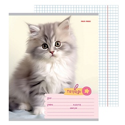 тетрадь  18л клетка цв. обл "фото котиков"