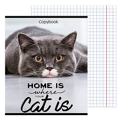 тетрадь  96л кл. "домашние коты" обложка цветная мелованная