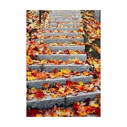 алмазная   живопись 40*50см осенняя лестница