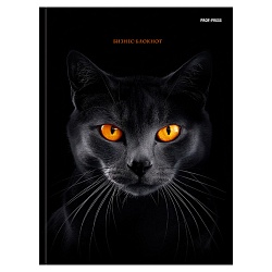 Бизнес-блокнот А5 80л "Чёрная кошка-2" глянцевая ламинация