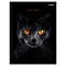 Бизнес-блокнот А5 80л "Чёрная кошка-2" глянцевая ламинация