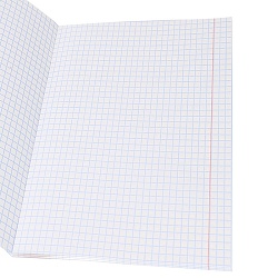 тетрадь  96л кл. "домашние коты" обложка цветная мелованная