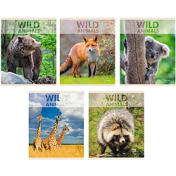 тетрадь  96л кл. "wild animals" обл. мел. картон выбор. лак