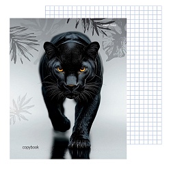 тетрадь на кольцах  80л  "грациозная пантера-2"