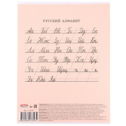 тетрадь  12л косая линия цв. обл "друзья-котята"