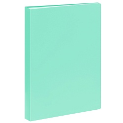 папка  40 файлов стамм 21мм 500мкм пастель мятная