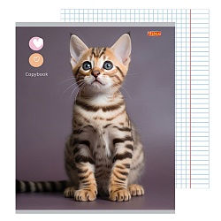 тетрадь  48л кл. офсет-2  "маленькие котики"