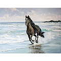 Алмазная живопись  40*50см  Чёрная лошадь на берегу