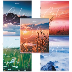 тетрадь  96л кл. "calm" обложка картон