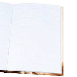 книжка записная  а5  80л "рыжий кот в лучах солнца" 7бц